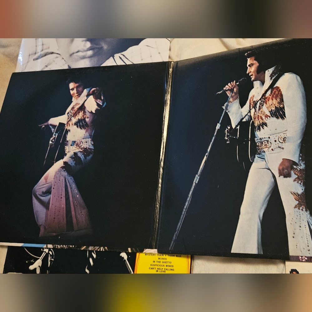Elvis Presley Vinyl Record Collection - Picture 7 of 10